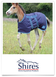 Shires Rugs