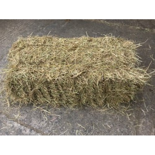 Hay Small Traditional Bale