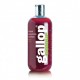 Gallop Colour Shampoo - Bay 500 ml